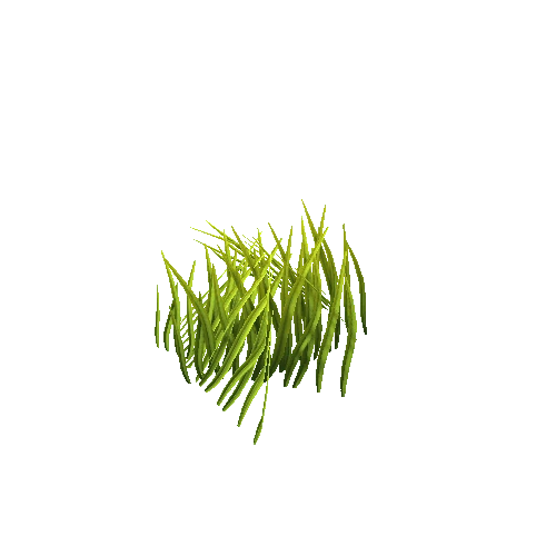 1_Grass_2 Variant